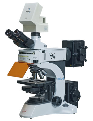 Fluorescence Microscopes